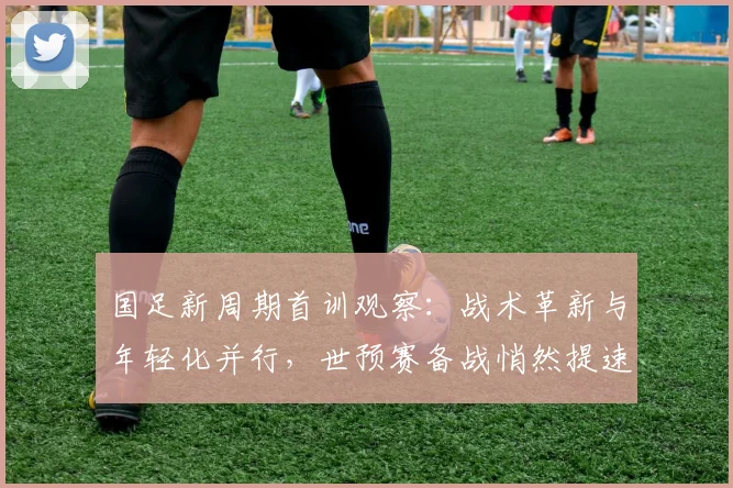 国足新周期首训观察：战术革新与年轻化并行，世预赛备战悄然提速
