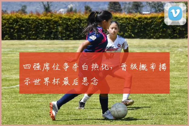 四强席位争夺白热化，晋级概率揭示世界杯最后悬念