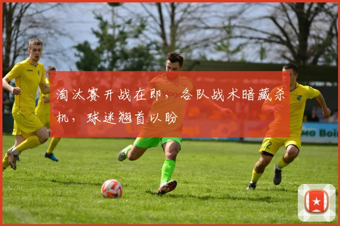 淘汰赛开战在即，各队战术暗藏杀机，球迷翘首以盼