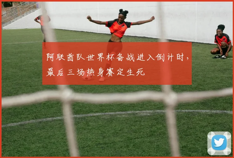 阿联酋队世界杯备战进入倒计时，最后三场热身赛定生死